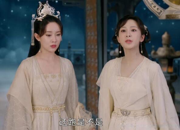 ��Ҷ���̳�ʲô��ͼƬ �Ϲ�������Ҷ������ʲô��