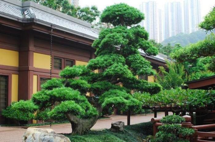 ��լ��ľ����Щ �Ĵ���լ֮���й�����