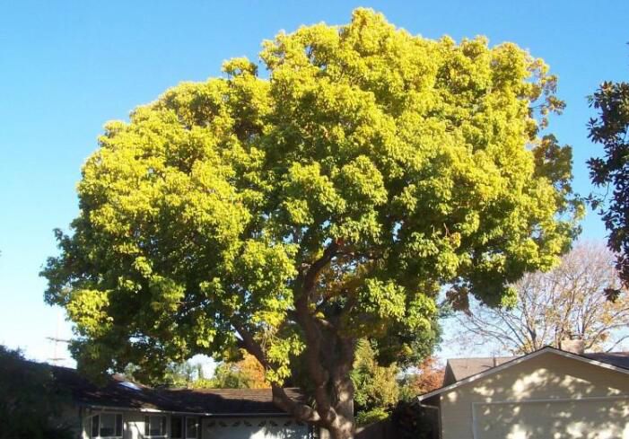 ��լ��ľ����Щ �Ĵ���լ֮���й�����