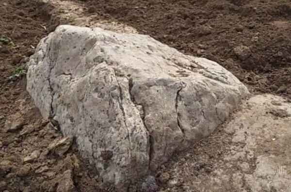 世界上最矮的山静山多高 静山为什么是山而不是石头