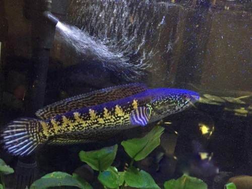 �ƽ��۾�����������Ҫ���ĸ� ������ô�����Ŀ�