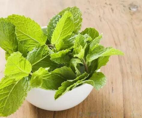 晚上睡觉怎么驱赶蚊子 怎样防蚊子叮咬最有效的方法