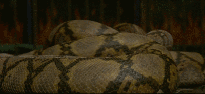 ����ħ���߸����������߸� ����ʲô������ô�����ٵ�