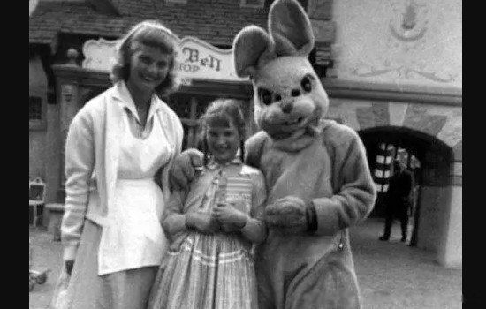 �������ĵ�ʿ�������¼������� ������ʿ��ֲ�������