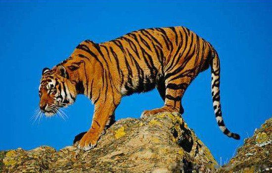 74������48��������֮�� 74�������˶㲻��ȥ�Ĵ���