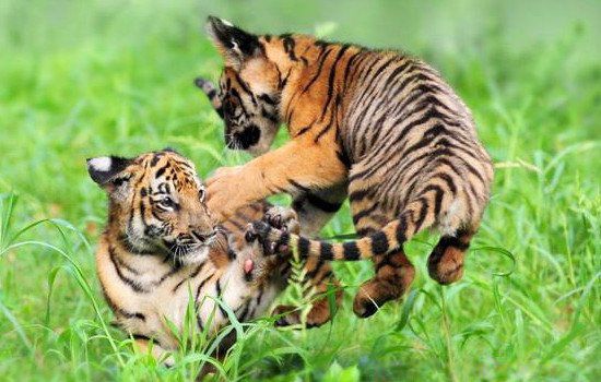 74������48��������֮�� 74�������˶㲻��ȥ�Ĵ���