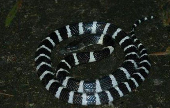 �������ж඾�����ڼ� �й�������������ʲô�ط�