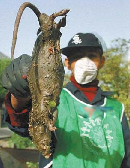 ���ʾ���������� ��ͷ���ʾ����ʲô�̶�