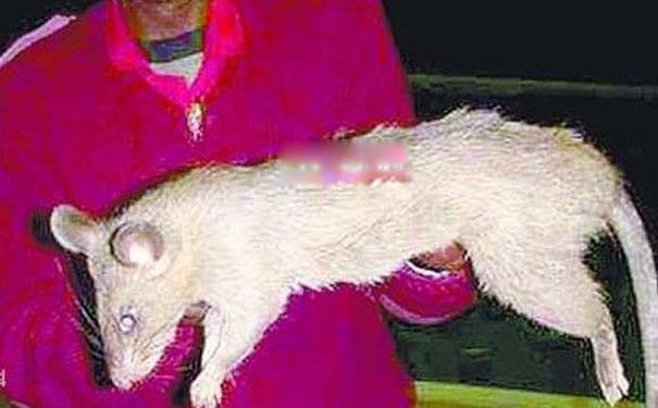 ���ʾ���������� ��ͷ���ʾ����ʲô�̶�