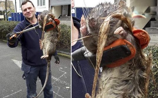 ���ʾ���������� ��ͷ���ʾ����ʲô�̶�