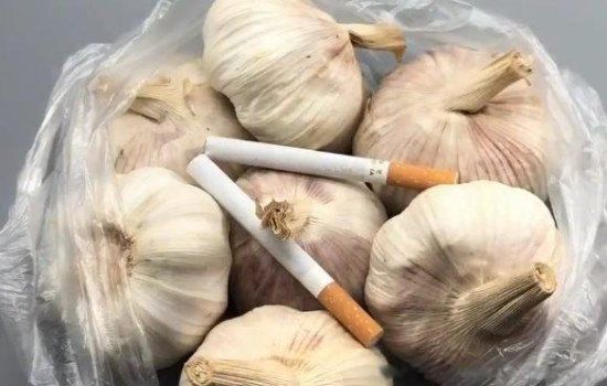 如何保存大蒜不发芽 干大蒜头的存储方法与技巧