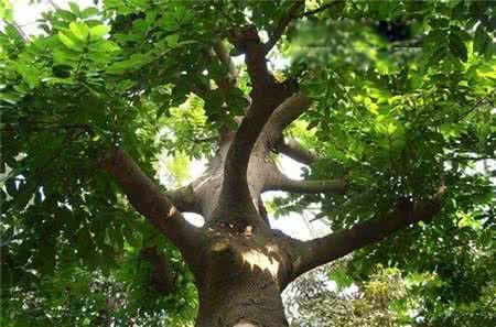 ����ľ��ʲô���� ���Ķ����ж�ǿ