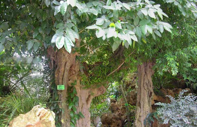 ����ľ��ʲô���� ���Ķ����ж�ǿ