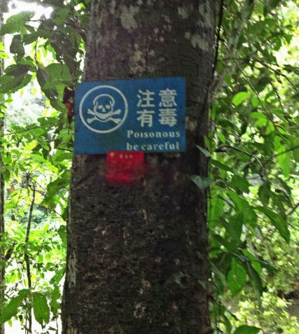 ����ľ��ʲô���� ���Ķ����ж�ǿ