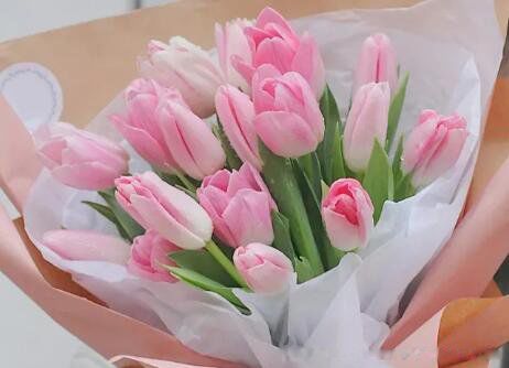 ����õ�廨��Ԣ����ʲô��˼ �ʺ���ʲô��