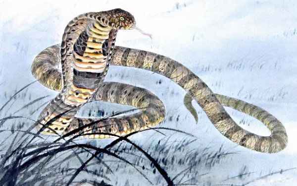 ����2022���Ƽ��˳���� 2022���������°����������