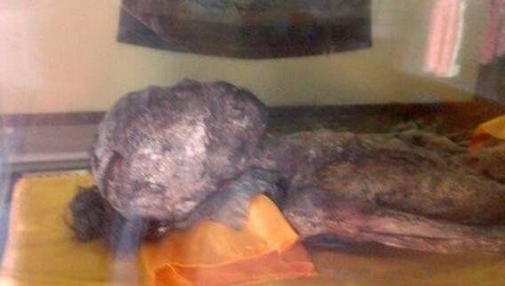 ̩����ʬ�����Ůʬ�����ع����� ������Ǹ�Ůʬ��˭