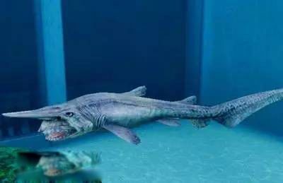 加布林鲨鱼为什么会爆炸 魔鬼鲨自爆视频怎么回事