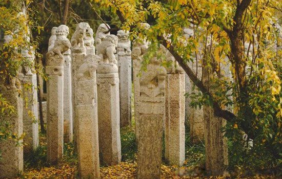 ������Ժ���Ŵ���������ԭ�� ������Ժ�����¼��������