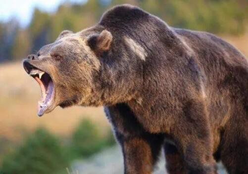 人熊是什么意思 鬼吹灯人熊长什么样子图片