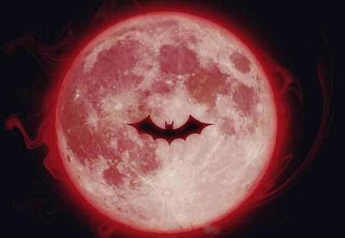 Ѫ�³�����ζ��ʲô Ѫ�µ�������˵