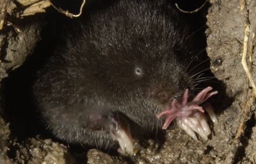 �Ǳ�������ʲô����ͼƬ ��ʲô��������ʲô