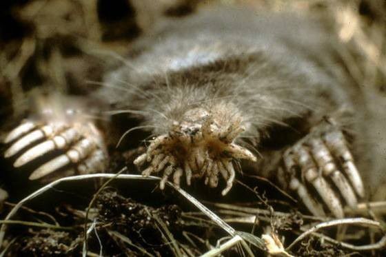 �Ǳ�������ʲô����ͼƬ ��ʲô��������ʲô