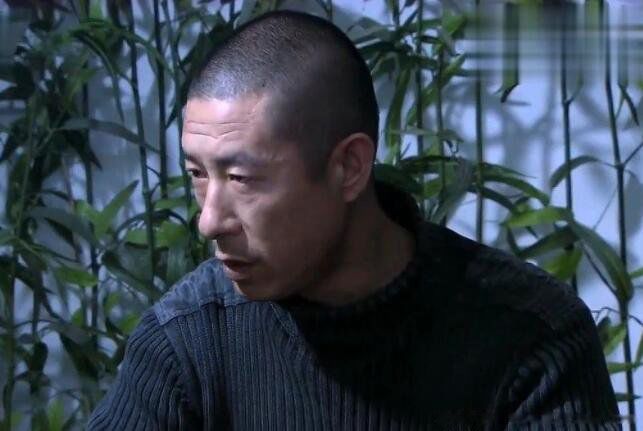 Ҷ����Ϊ���ñ�����ʲô���Ӿ� ���Ĵ�����Ҷ���������