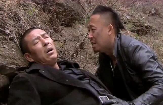 Ҷ����Ϊ���ñ�����ʲô���Ӿ� ���Ĵ�����Ҷ���������