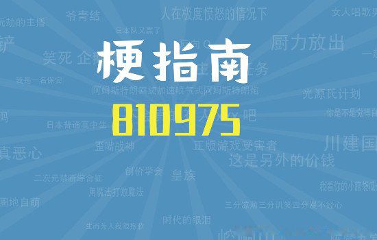 ¯ʯ��˵810975��ʲô�� ��������Ŵ�Ҷ�֪��