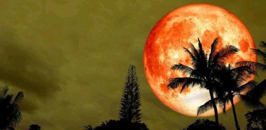 Ѫ������ô�γɵ� ���Ѫ�µĹ��´���ʲô