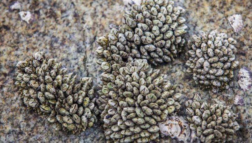 �ٺ���ʲô�������Գ��� ���Ĺ�Ч������