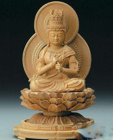 ����������ʲô�� ��̴�������������Ĳ����