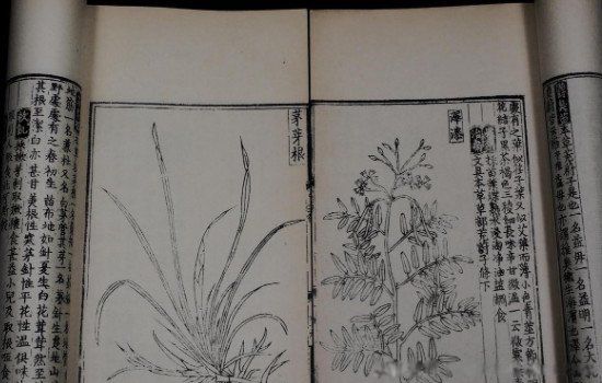 �Ȼı������ĸ�����˭д���� ��ʲô����������һ��