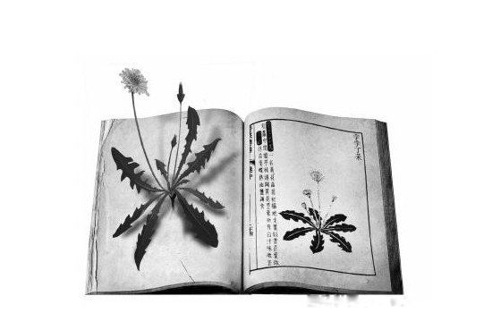 �Ȼı������ĸ�����˭д���� ��ʲô����������һ��