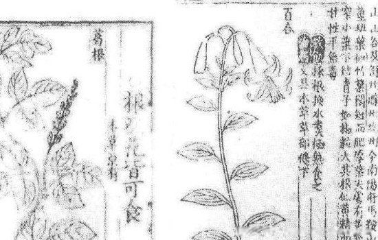 �Ȼı������ĸ�����˭д���� ��ʲô����������һ��