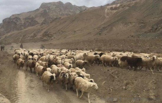 ����ɽ������Ϊʲô�ǽ��� 3������ɽ�����¼�