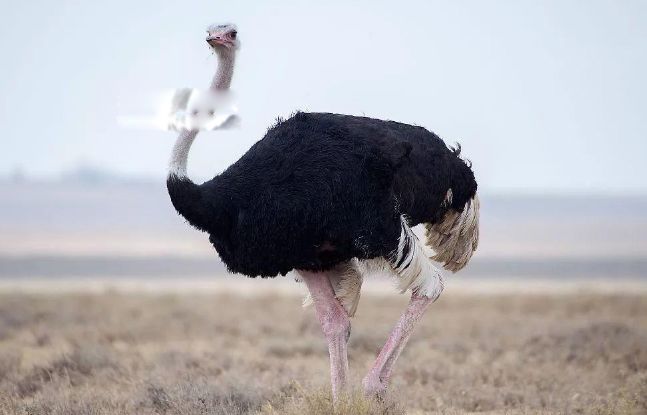 ������������������ʲô�� ���������Ƕ���