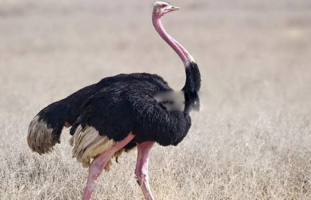 ������������������ʲô�� ���������Ƕ���