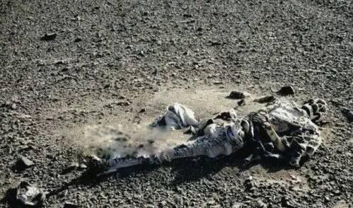 ����917�¼����� ��������917������5����Ƭ