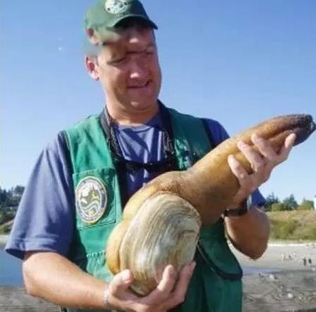 ����ˮĸΪʲô���������� ʮ��������Ķ�������