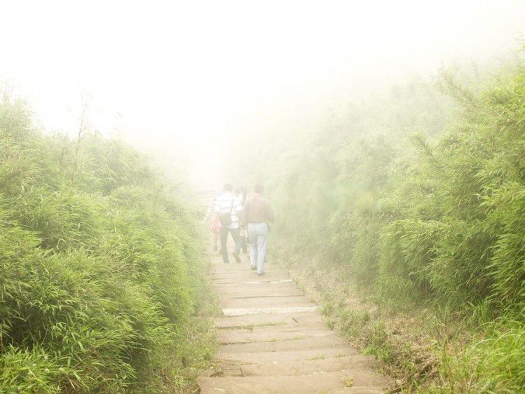 迷魂凼在四川什么地方 灵异事件之谜真相揭秘