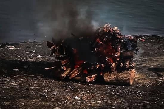 ʳ����Ϊʲô���� ����ѷ�����ʳ������ĳ�����