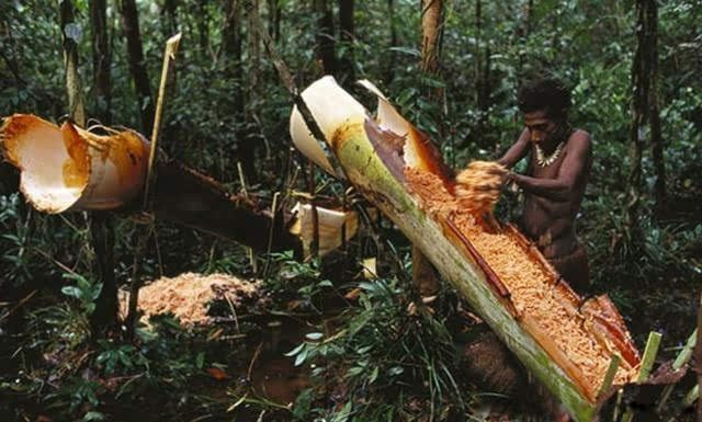 ʳ����Ϊʲô���� ����ѷ�����ʳ������ĳ�����