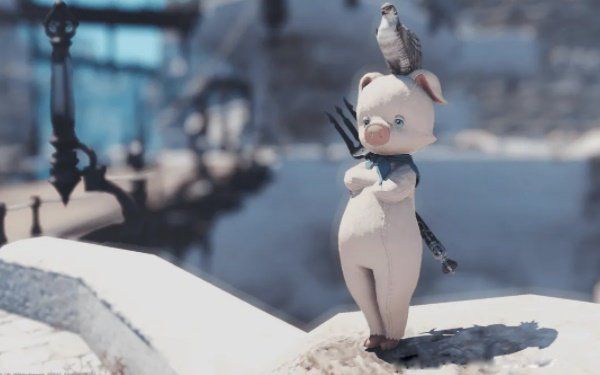 ��ͷ��ʲô���й� ���ֶ�����Ŵ�ͷ���й�