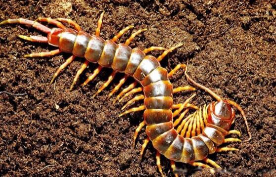 ���Ϊʲô���ܴ��� ������������������