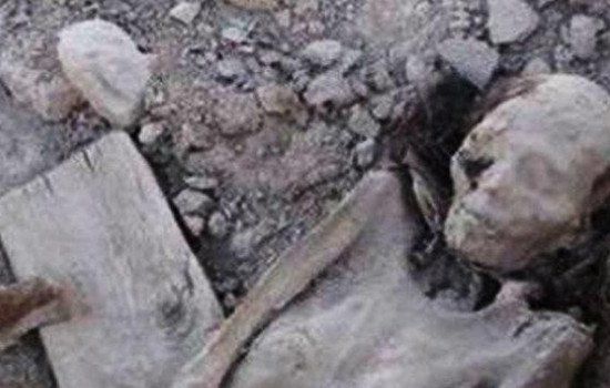 ����ľ֮���ѽ�2013�걻�ҵ� Ϊʲô����ľ�¼��ᴫ��˫������