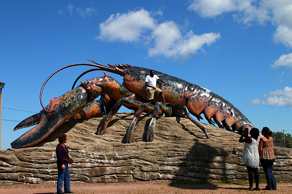 澳洲大龙虾最大多少斤 世界上最大的澳洲大龙虾图片