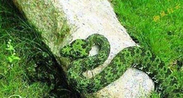 ��ɽ����ͷ�߽���ͼƬ ȫ������Ķ���֮һ