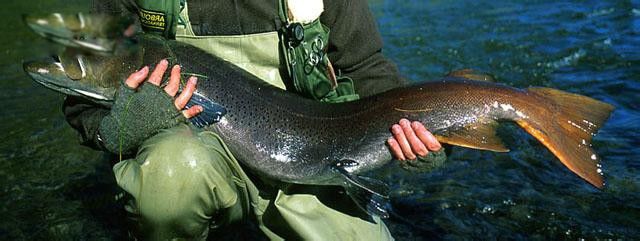 ��������ͼƬ��� ����˹������������ж��